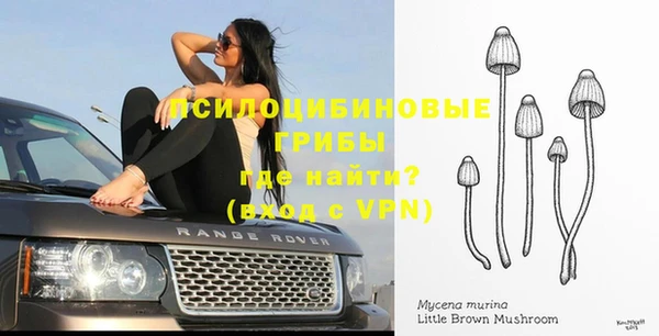 молекула духа Новодвинск