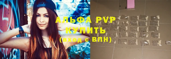 молекула духа Новодвинск