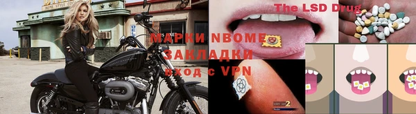 ГАЛЛЮЦИНОГЕННЫЕ ГРИБЫ Новокубанск