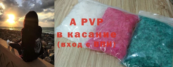 молекула духа Новодвинск
