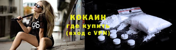 молекула духа Новодвинск