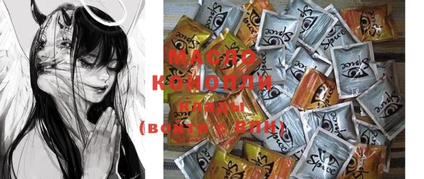 молекула духа Новодвинск