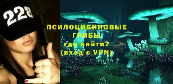 молекула духа Новодвинск