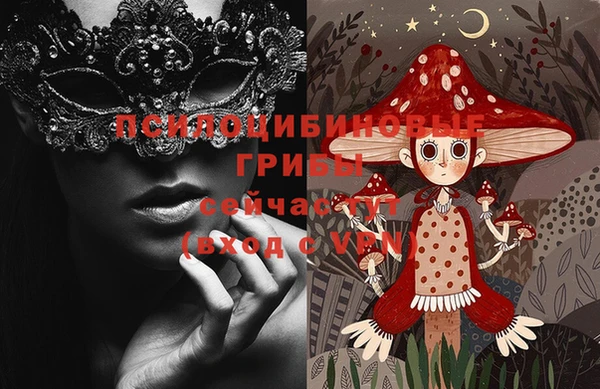 винт Новозыбков