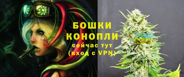 винт Новозыбков