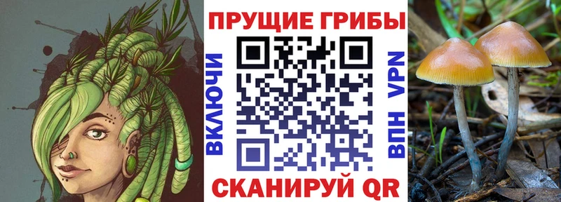 Галлюциногенные грибы мухоморы  закладка  Орехово-Зуево 